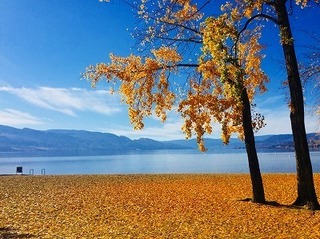 IMG-0763.jpg