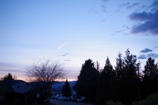 IMG-1016.jpg