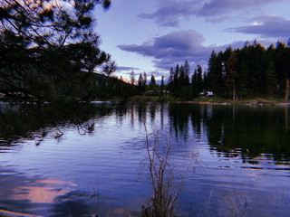 IMG-1050.jpg