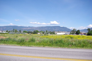 IMG-1117.jpg