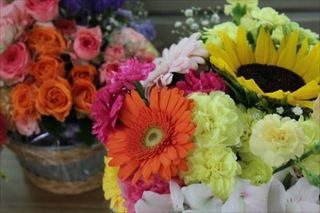 IMG_1105_R.JPG