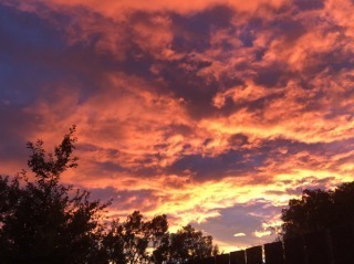 IMG_3305.jpg
