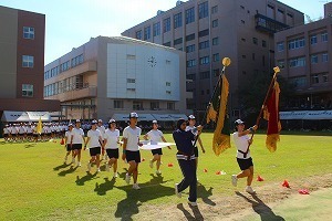 IMG_7867.jpg