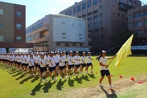 IMG_7871.jpg