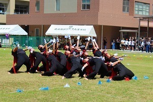 IMG_8242.jpg