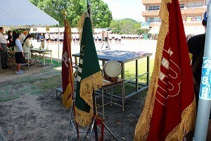 IMG_8299.jpg