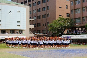 IMG_8349.jpg