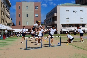IMG_8398.jpg