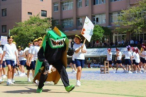 IMG_8426.jpg