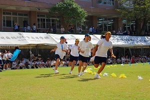 IMG_8512.jpg