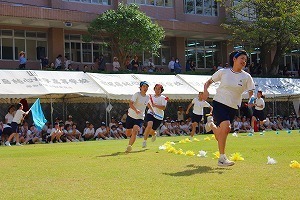IMG_8522.jpg