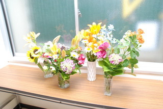 DSC_0915.jpg