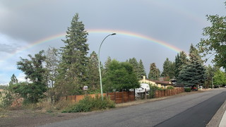 IMG-2307.jpg