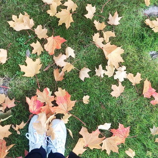 IMG-2392.jpg