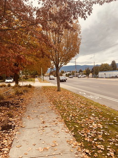 IMG-2547.jpg