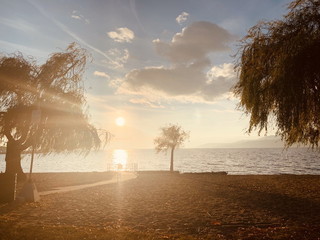 IMG-2715.jpg
