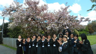 IMG_20191016_143332.jpg
