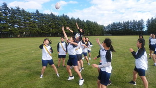 IMG_20191024_094334.jpg