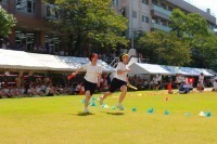 IMG_6229.jpg