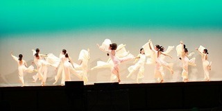 IMG_7431.jpg